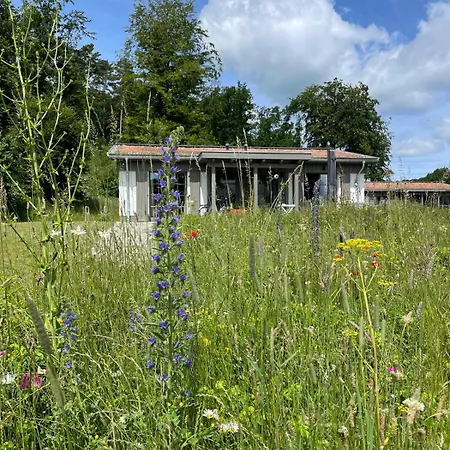 Ruegener Traumzeit 30 Klein Stresow Ruegen By Ruyastay Σπίτι διακοπών